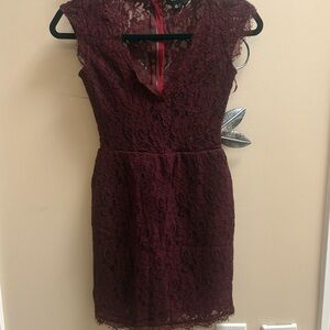 Babaton Burgundy Lace Dress